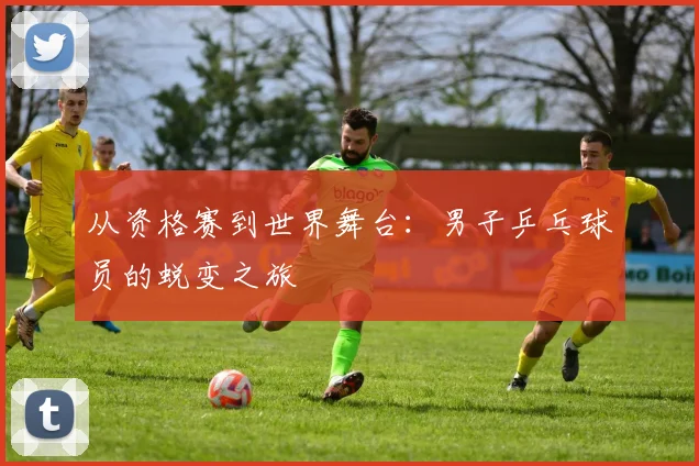 从资格赛到世界舞台:男子乒乓球员的蜕变之旅