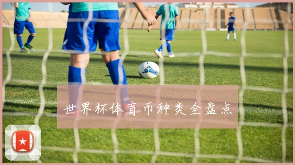 世界杯体育币种类全盘点