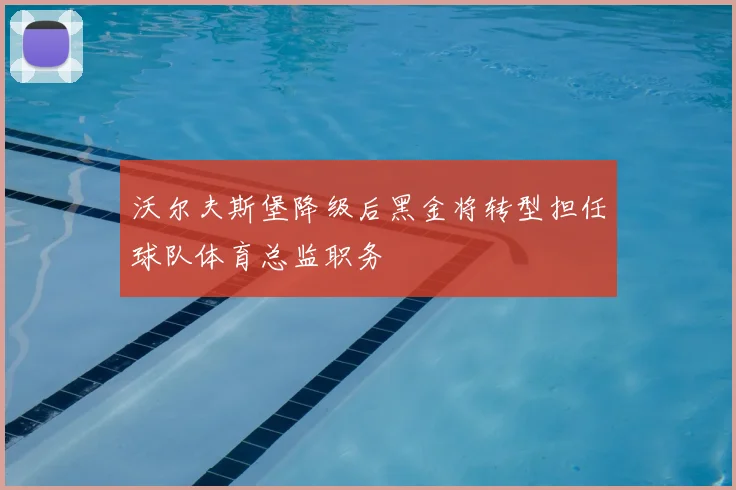 沃尔夫斯堡降级后黑金将转型担任球队体育总监职务