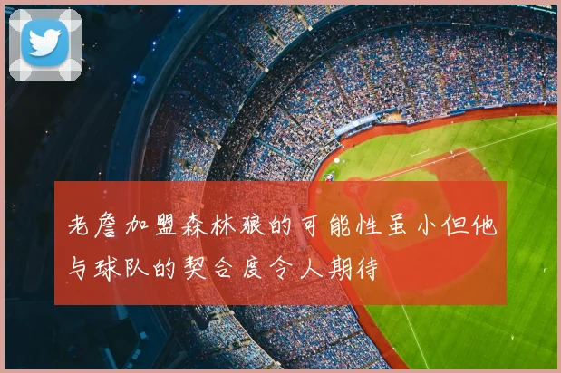 老詹加盟森林狼的可能性虽小但他与球队的契合度令人期待