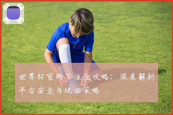 世界杯官网下注全攻略：深度解析平台安全与玩法策略