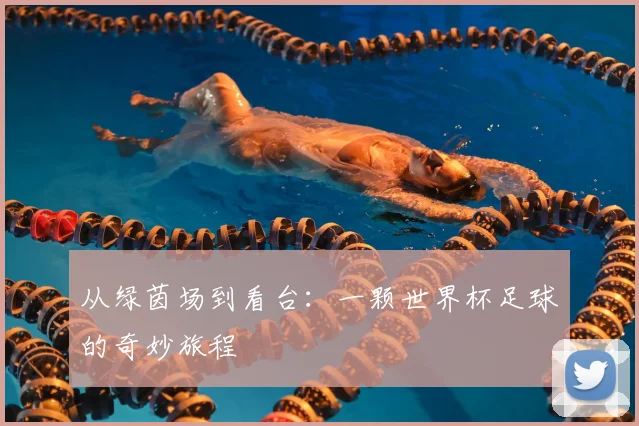 从绿茵场到看台：一颗世界杯足球的奇妙旅程