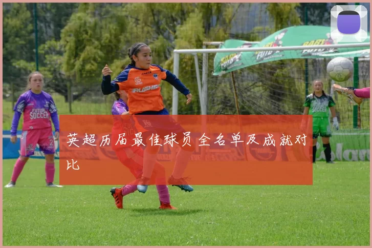 英超历届最佳球员全名单及成就对比