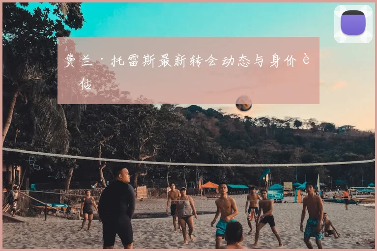 费兰·托雷斯最新转会动态与身价评估