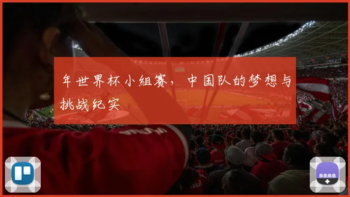 年世界杯小组赛,中国队的梦想与挑战纪实