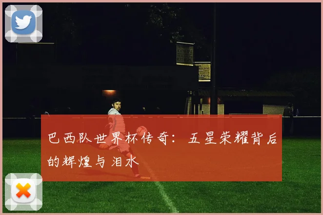 巴西队世界杯传奇:五星荣耀背后的辉煌与泪水