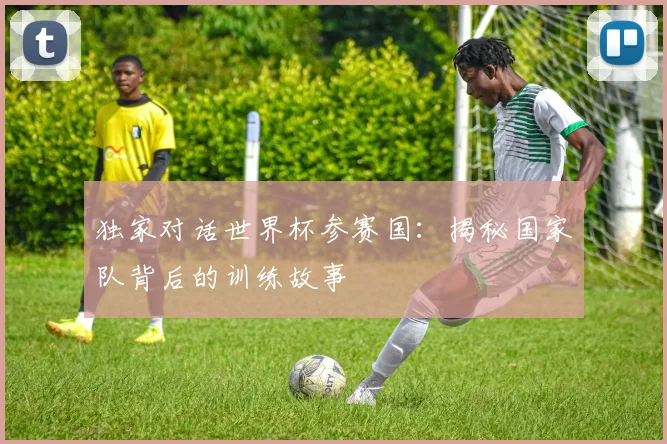 独家对话世界杯参赛国：揭秘国家队背后的训练故事