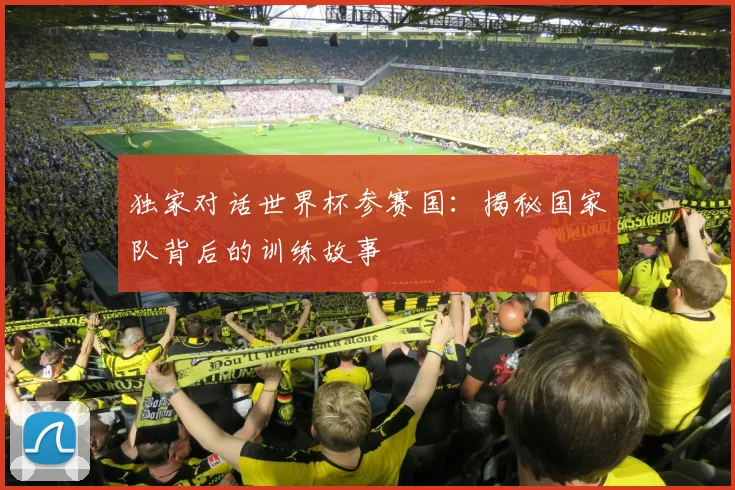 独家对话世界杯参赛国：揭秘国家队背后的训练故事