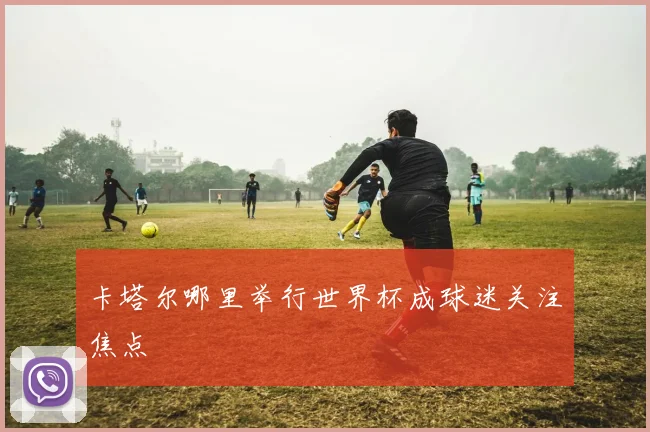 卡塔尔哪里举行世界杯成球迷关注焦点