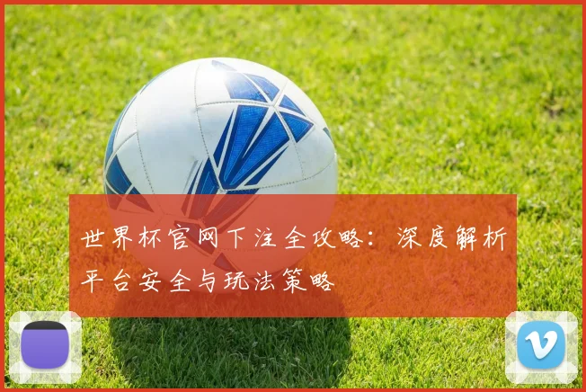 世界杯官网下注全攻略：深度解析平台安全与玩法策略