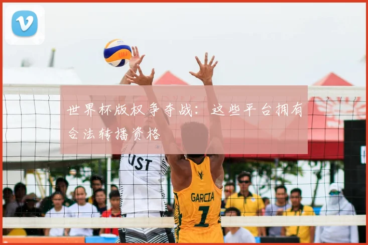 世界杯版权争夺战:这些平台拥有合法转播资格