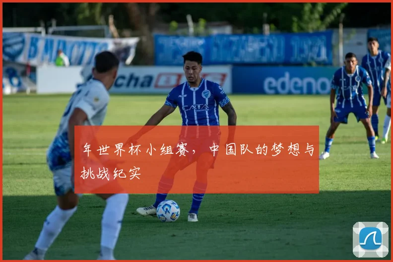 年世界杯小组赛,中国队的梦想与挑战纪实